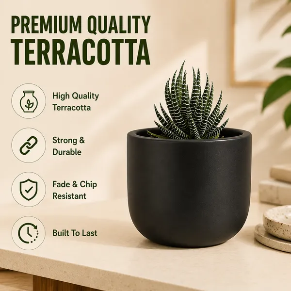 Terracotta_Indoor_Matte_Black_Planter_Pot