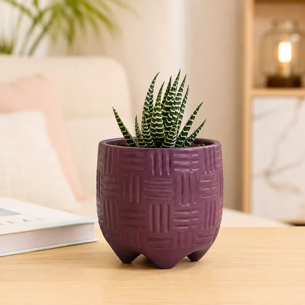 Terracotta_Indoor_Purple_Geometric_Pattern_Planter_Pot
