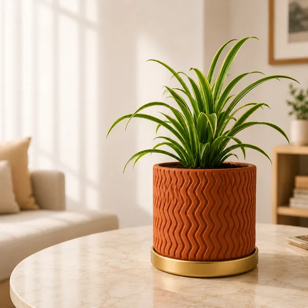 Terracotta_Textured_Golden_Saucer_Planter_Pot