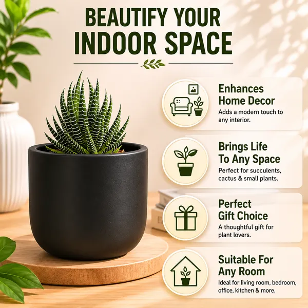 Terracotta_Indoor_Matte_Black_Planter_Pot