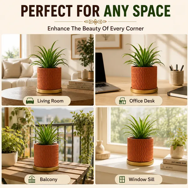 Terracotta_Textured_Golden_Saucer_Planter_Pot