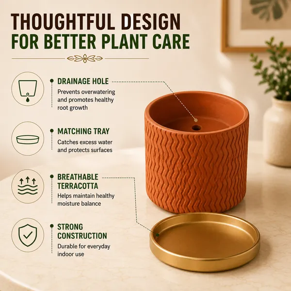 Terracotta_Textured_Golden_Saucer_Planter_Pot