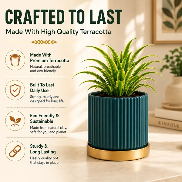 Terracotta_Indoor_Blue_Planter_With_Golden_Stand