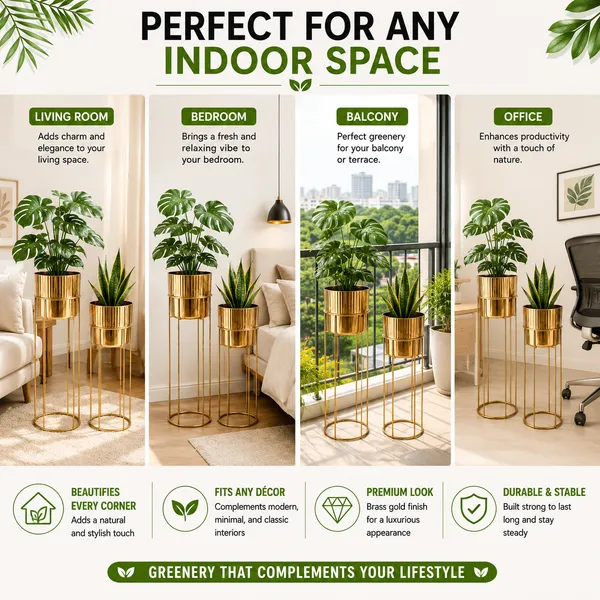 Pack_Of_2_Iron_Indoor_Gold_Finish_Plant_Stand