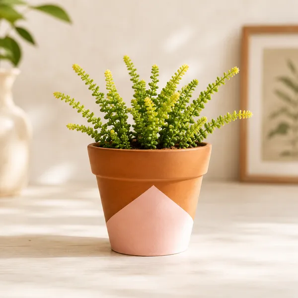 Terracotta_Indoor_Brown_And_Pink_Geometric_Painted_Planter_Pot