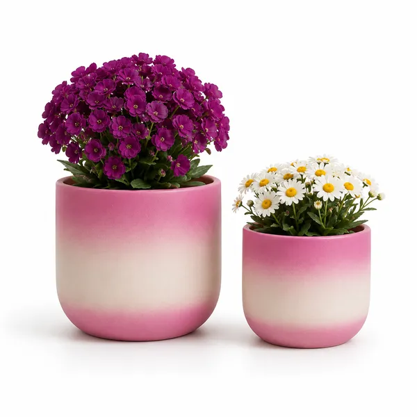 Pack_Of_2_Terracotta_Indoor_Pink_Gradient_Planter