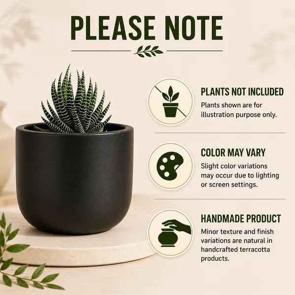 Terracotta_Indoor_Matte_Black_Planter_Pot