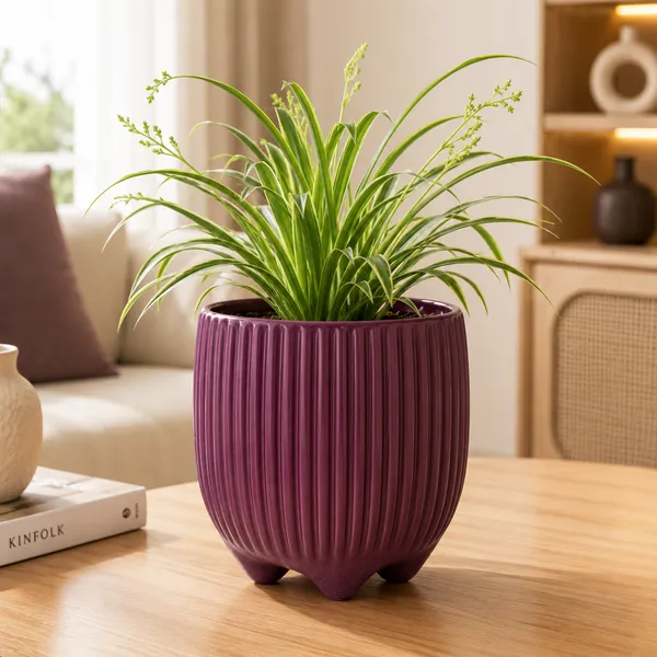 Terracotta_Indoor_Purple_Ribbed_Planter_Pot