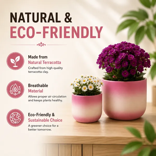 Pack_Of_2_Terracotta_Indoor_Pink_Gradient_Planter