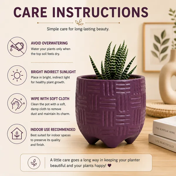 Terracotta_Indoor_Purple_Geometric_Pattern_Planter_Pot