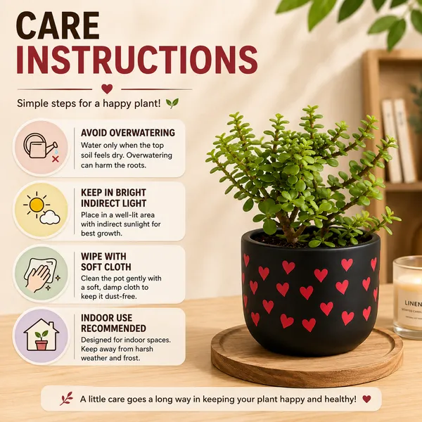 Terracotta_Indoor_Black_Red_Heart_Design_Planter_Pot