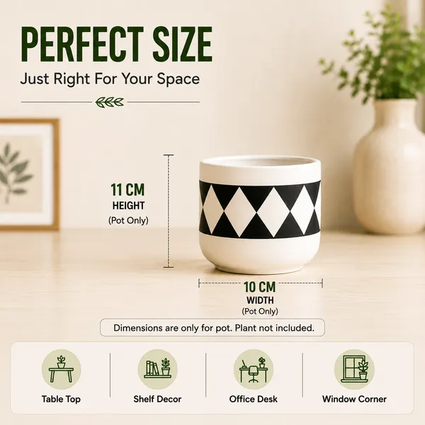 Terracotta_Geometric_Diamond_Pattern_White_Decorative_Planter