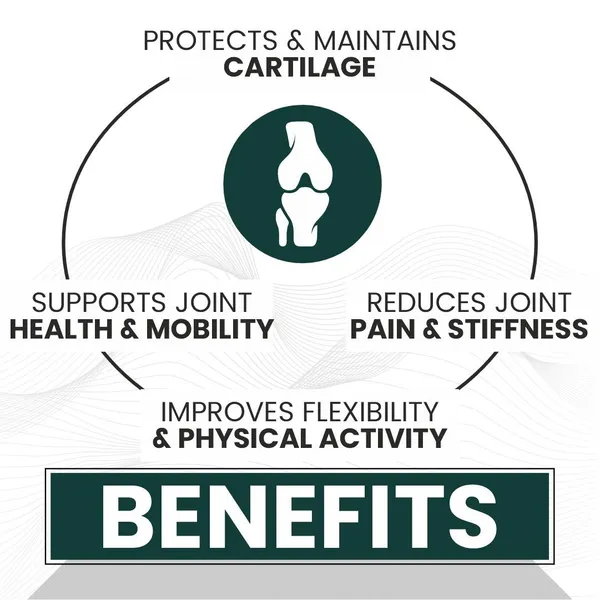 Raskam_Glucosamine_Chondroitin_Msm_For_Cartilage_Joint_And_Bone_60_Capsules