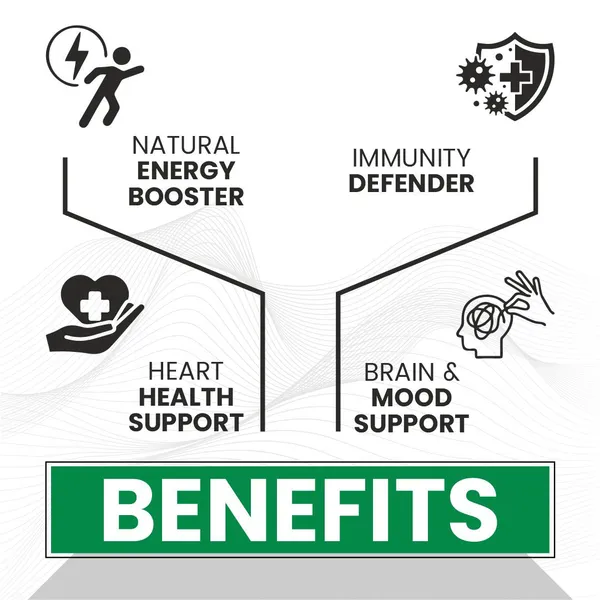 Quercetin_With_Bromelain_Capsules_Immune_Respiratory_Support_Powerful_Antioxidant_Formula_Promotes_Cardiovascular_Joint_Wellness_60_Veg_Capsules