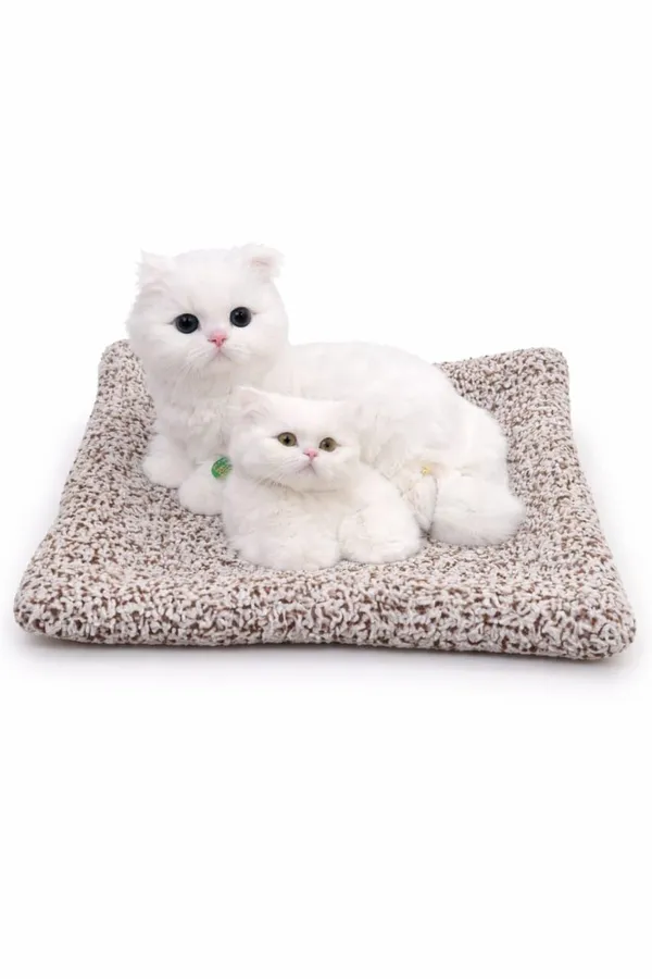 White_Plush_Persian_Cat_Soft_Toy_With_Meow_Sound_Cushion_Bed