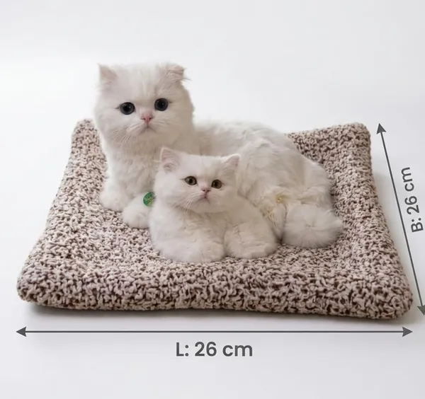 White_Plush_Persian_Cat_Soft_Toy_With_Meow_Sound_Cushion_Bed