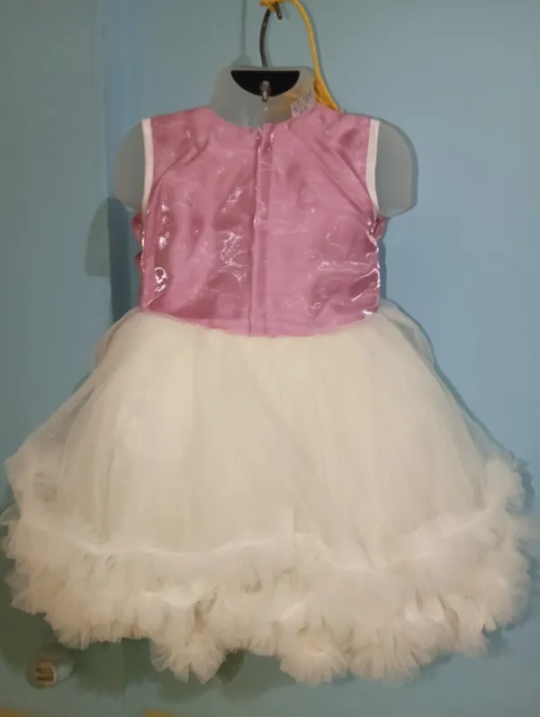 Rose_Pink_Pal_Net_Fabric,_Inner_Material_Cotton_Dress_For_Girls