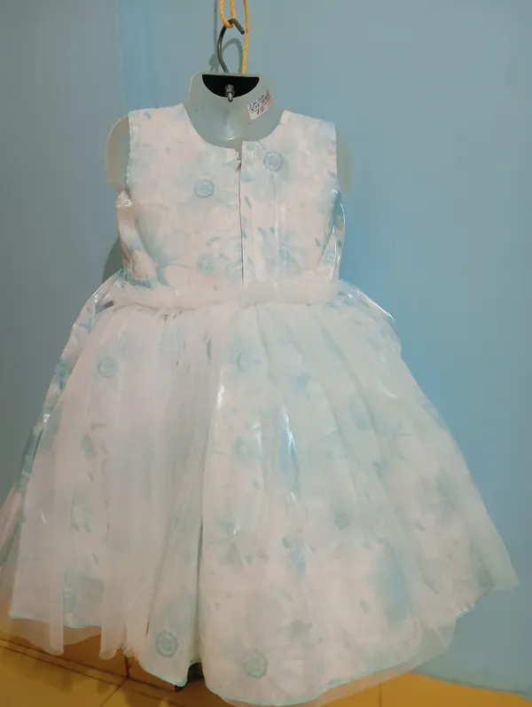 Light_Blue_Digital_Print_Silky_Net_Fabric,_Inner_Material_Cotton_Dress_For_Girls