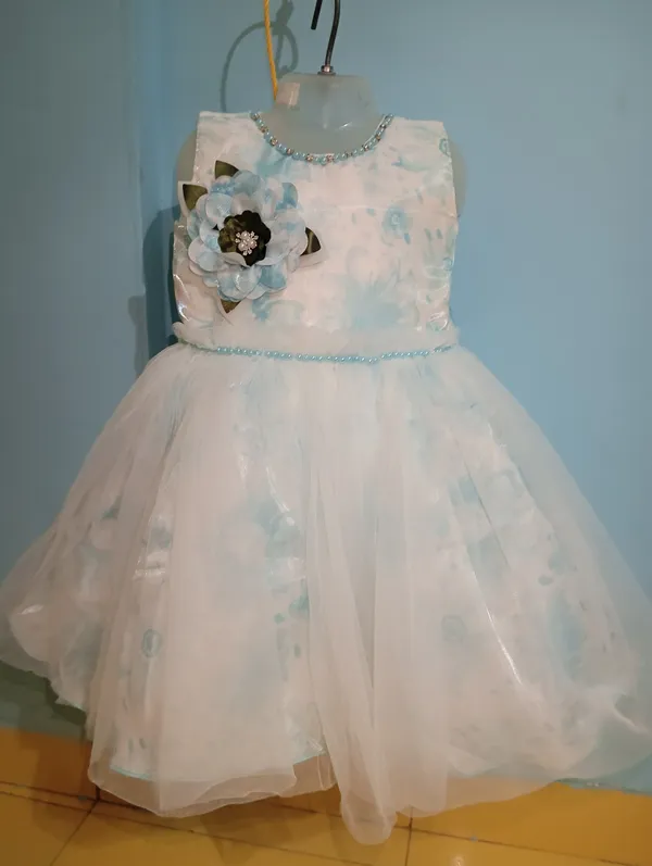 Light_Blue_Digital_Print_Silky_Net_Fabric,_Inner_Material_Cotton_Dress_For_Girls