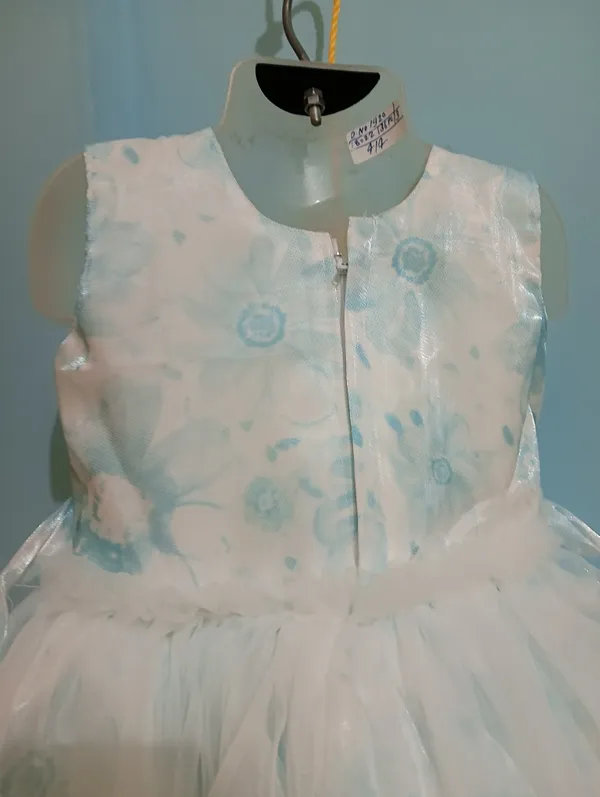 Light_Blue_Digital_Print_Silky_Net_Fabric,_Inner_Material_Cotton_Dress_For_Girls