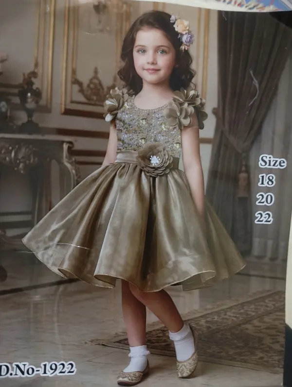 Taupe_Brown_Jimmy_Choo_Fabric,_Inner_Material_Cotton_Dress_For_Girls