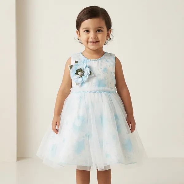 Light_Blue_Digital_Print_Silky_Net_Fabric,_Inner_Material_Cotton_Dress_For_Girls
