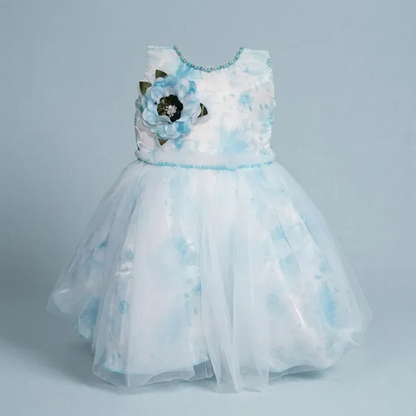 Light_Blue_Digital_Print_Silky_Net_Fabric,_Inner_Material_Cotton_Dress_For_Girls