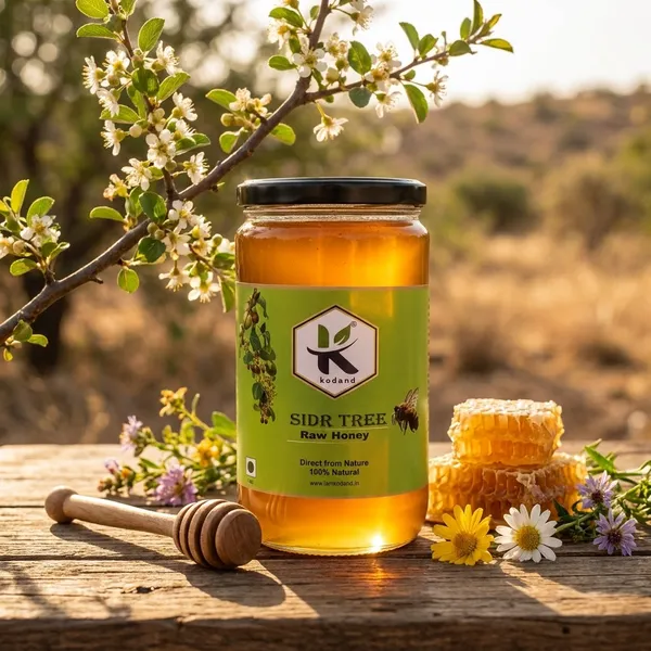 Kodand_Sidr_Tree_Honey_1_Kg_Raw_Antibacterial_Honey