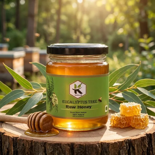 Kodand_Eucalyptus_Honey_250_Gm_Natural_Cold_Cough_Relief_-_Pack_Of_2