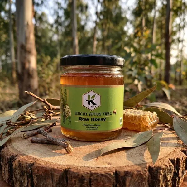 Kodand_Eucalyptus_Honey_250_Gm_Natural_Cold_Cough_Relief_-_Pack_Of_2