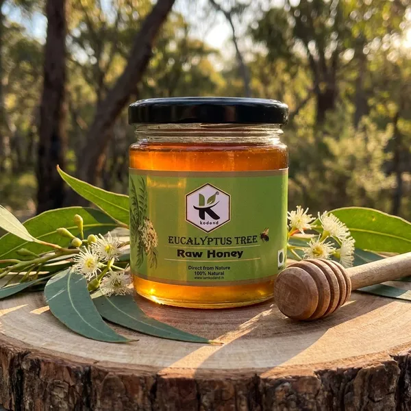 Kodand_Eucalyptus_Honey_250_Gm_Natural_Cold_Cough_Relief_-_Pack_Of_2