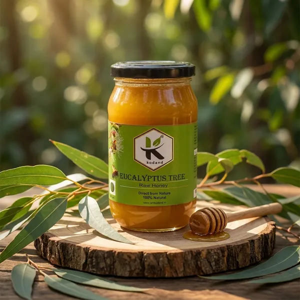 Kodand_Eucalyptus_Honey_500_Gm_Raw_Respiratory_Health_Honey
