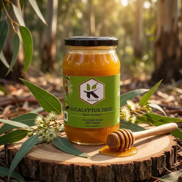 Kodand_Eucalyptus_Honey_500_Gm_Raw_Respiratory_Health_Honey