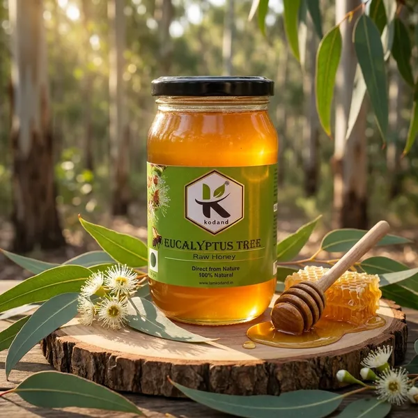Kodand_Eucalyptus_Honey_500_Gm_Raw_Respiratory_Health_Honey