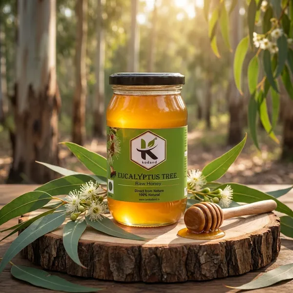 Kodand_Eucalyptus_Honey_500_Gm_Raw_Respiratory_Health_Honey