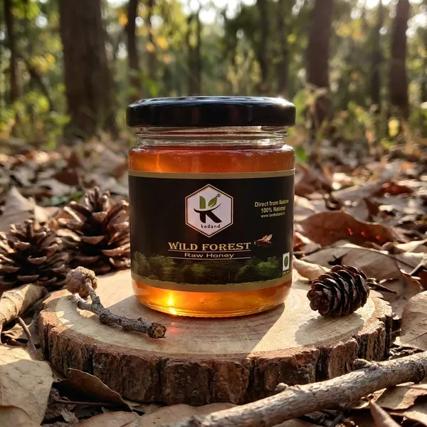 Kodand_Wild_Forest_Honey_250_Gm_Raw_Daily_Health_Honey_-_Pack_Of_2