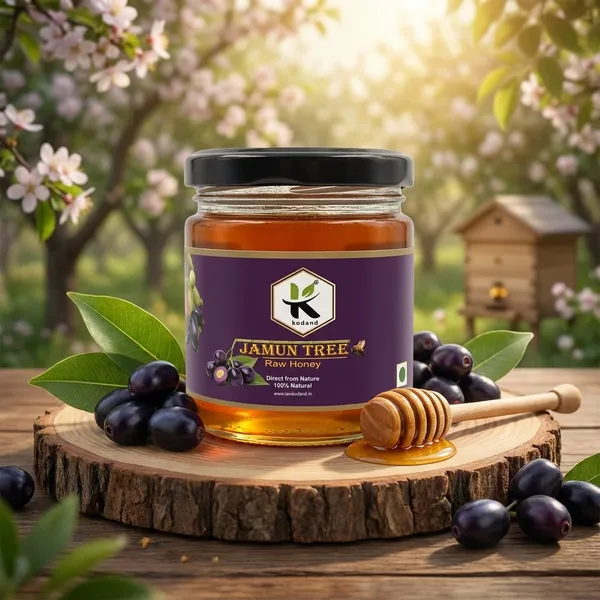 Kodand_Jamun_Honey_250_Gm_Pure_Natural_Antioxidant_Honey_-_Pack_Of_2