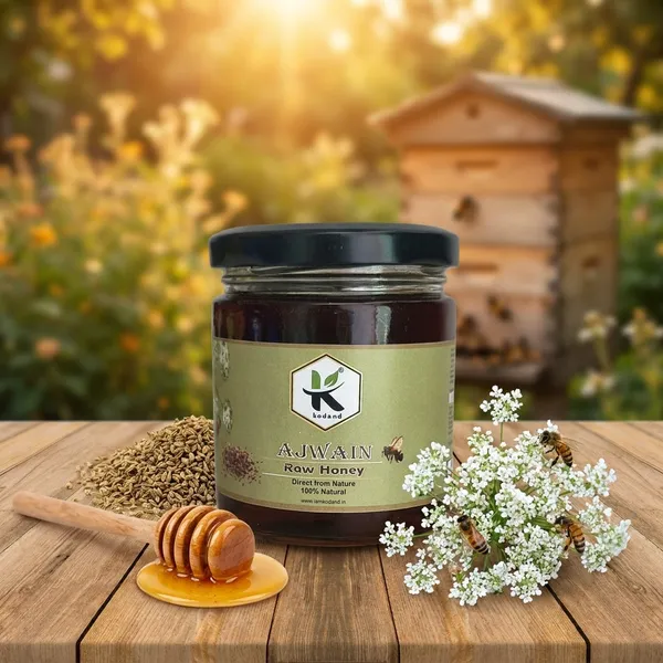 Kodand_Ajwain_Honey_250_Gm_Pure_Digestive_Wellness_Honey_-_Pack_Of_2