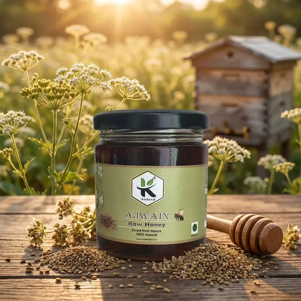 Kodand_Ajwain_Honey_250_Gm_Pure_Digestive_Wellness_Honey_-_Pack_Of_2