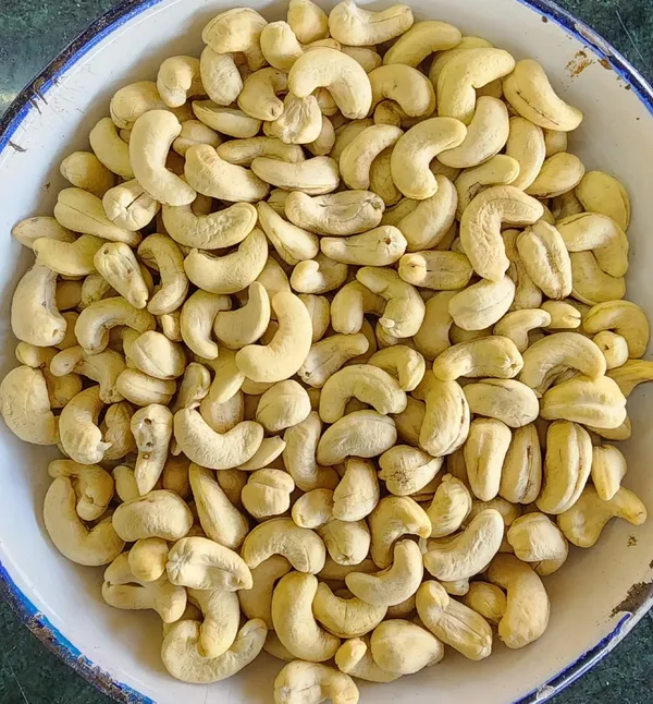 Premium_Whole_Cashew_Nuts_�_W320_Grade