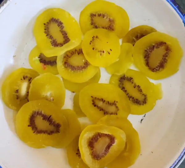 Premium_Dried_Yellow_Kiwi