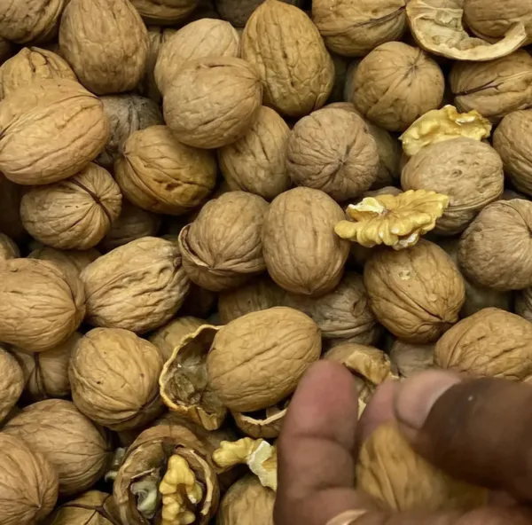 Premium_Chilean_Walnuts_with_Shell