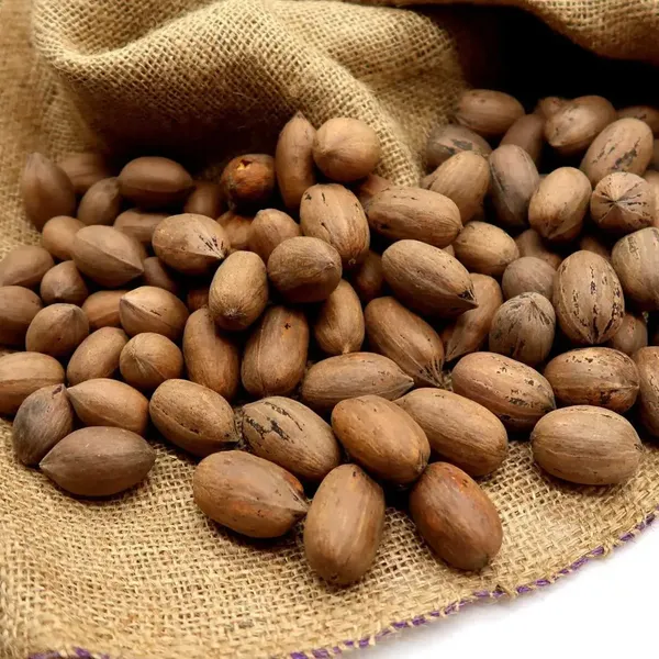 Premium_Pecan_Nuts_with_Shell