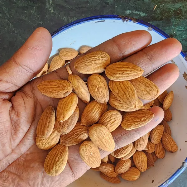 Premium_Jumbo_California_Almonds