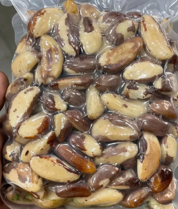 Premium_Brazil_Nuts
