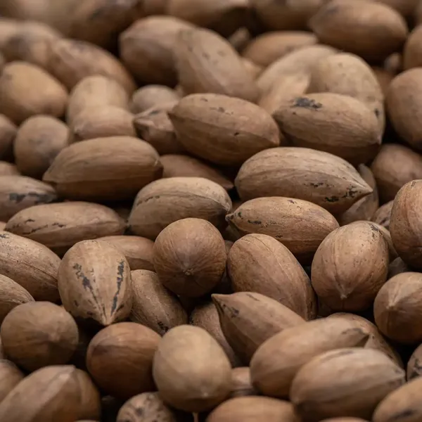 Premium_Pecan_Nuts_with_Shell