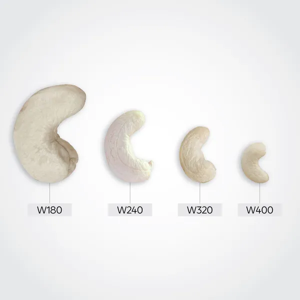 Premium_Whole_Cashew_Nuts_�_W400_Grade
