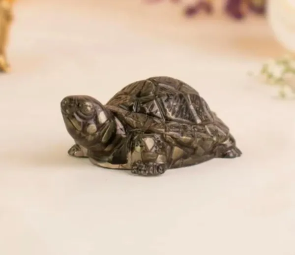 Tortoise_Pyrite_for_Wealth,_Protection_And_Progress.