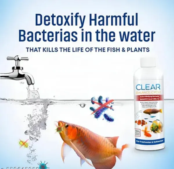 Clear_Aquarium_Bacteria_Detoxifier_For_Freshwater_And_Saltwater