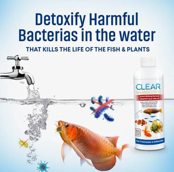 Clear_Blance_Cycle_Active_Nitrifying_Bacteria_For_Aquariums